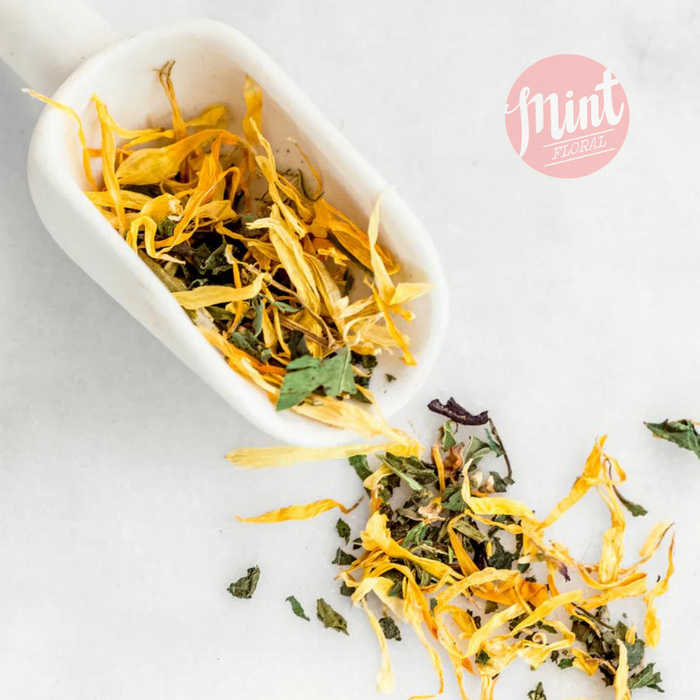 Smitea - Loose Leaf Tea Starter Pack