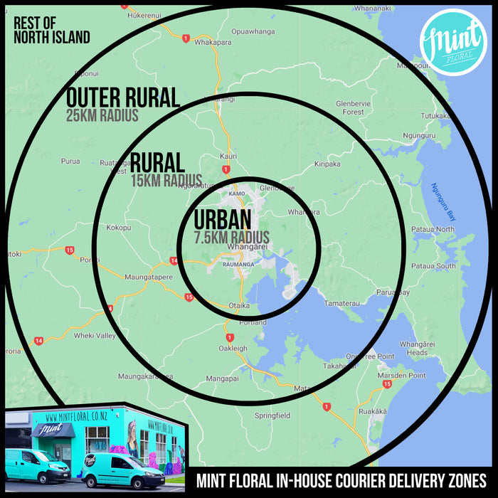 Organic Raw Cake - 2 flavours available (WHANGAREI DELIVERY ONLY)