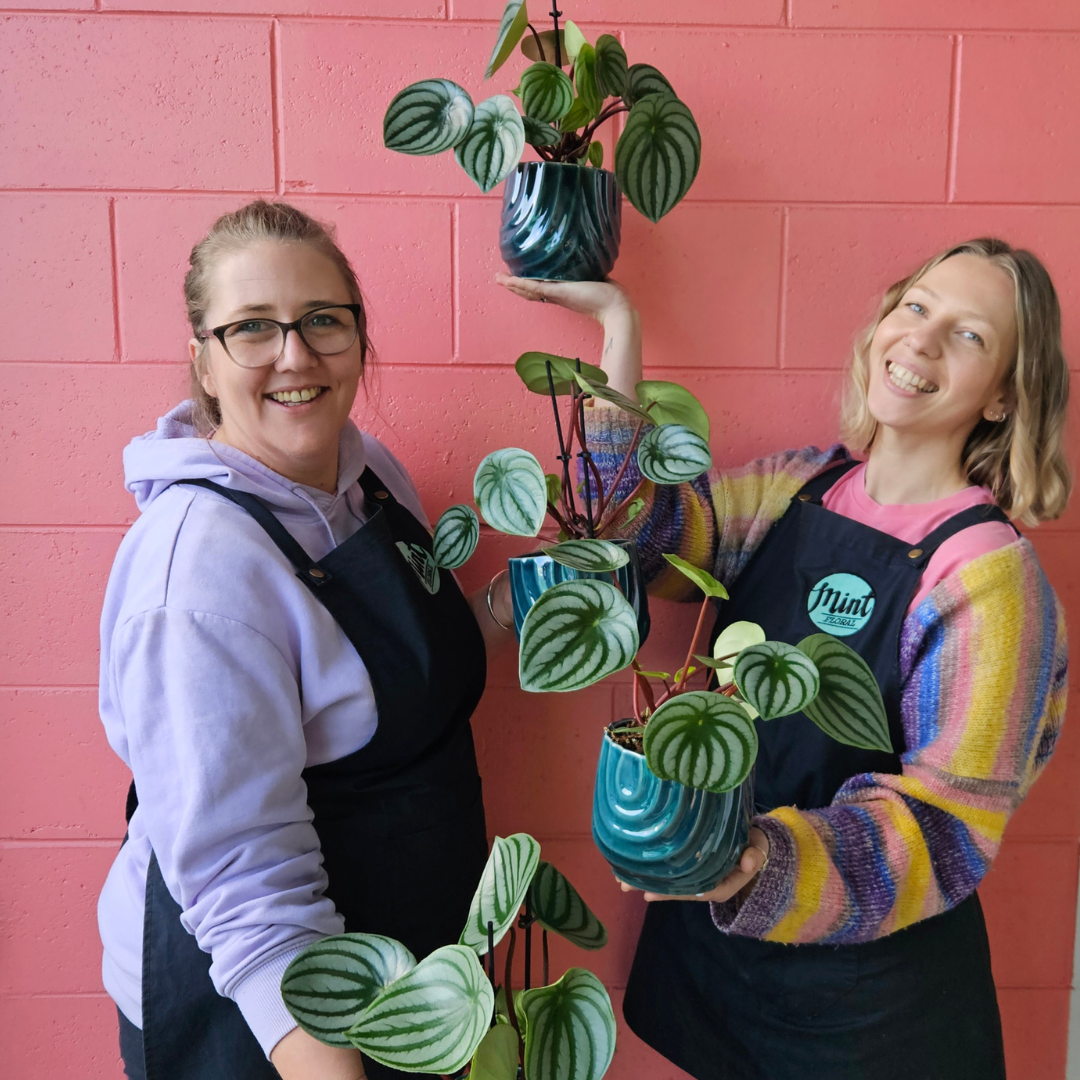 INDOOR PLANTS & TERRARIUMS | Living lushness!