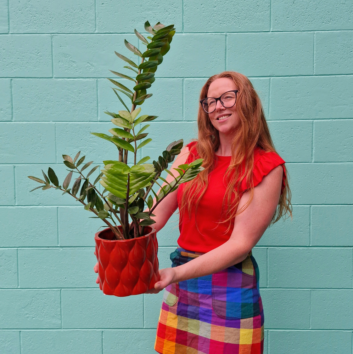 INDOOR PLANTS & TERRARIUMS | Living lushness!