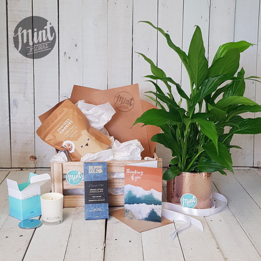 GIFTS WITH PLANTS | A lush plant packaged beautifully with some extra treats
