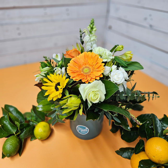 FRESH ZEST Flower Pot | Limited Edition