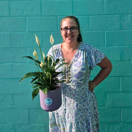 Precious Peace Lily Plant | MOTHERS DAY 2025