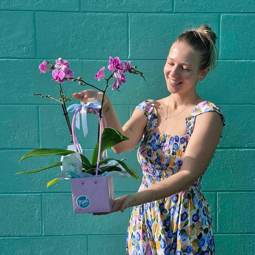 Mini Orchid Plant | MOTHERS DAY 2025