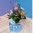 Petite Pastel Gift Box | MOTHERS DAY 2025