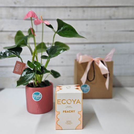 Purely Peachy Gift Bag