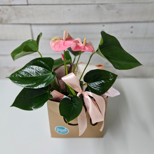 Purely Peachy Gift Bag
