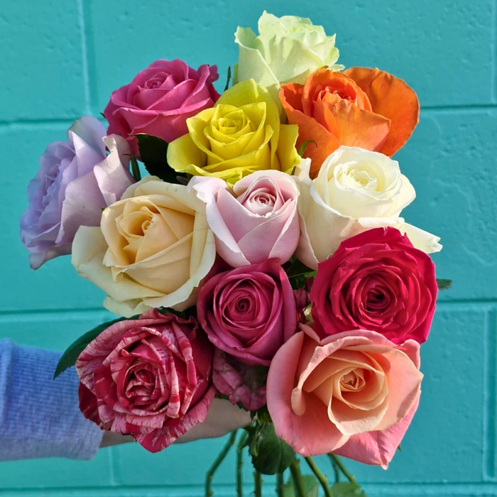 One Rimantic Rose Romantic Single Rose — Mint Floral NZ