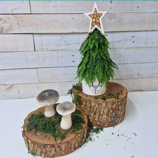 Holiday Collection 2025 |  Fresh Festive Tree Arrangement