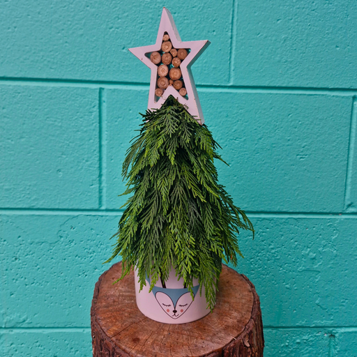 Holiday Collection 2025 |  Fresh Festive Tree Arrangement