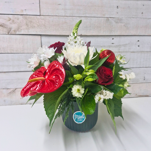 Holiday Collection 2025 | Christmas Cracker Pot Arrangement