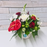 Holiday Collection 2025 | Christmas Cracker Pot Arrangement