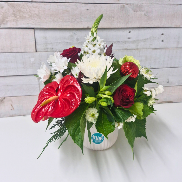 Holiday Collection 2025 | Christmas Cracker Pot Arrangement