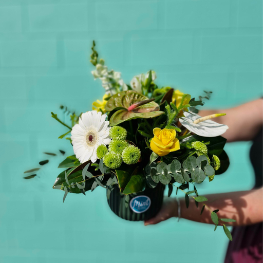 'GREEN THUMB MUM' Flower Pot | MOTHERS DAY 2026