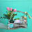 'Mint as Mum' Carry Crate | MOTHERS DAY 2026