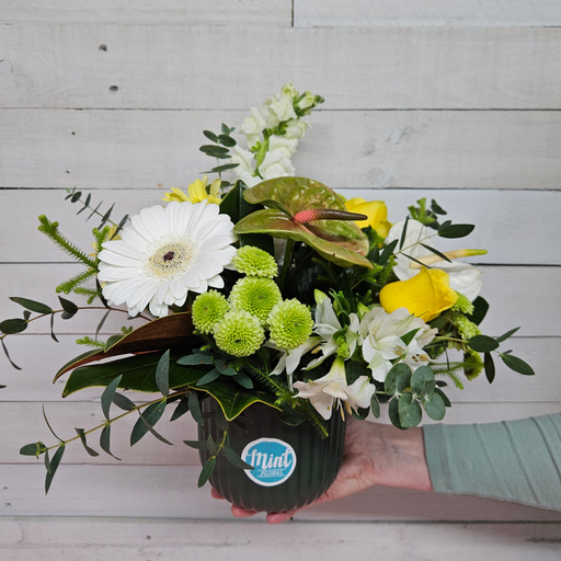 'GREEN THUMB MUM' Flower Pot | MOTHERS DAY 2026