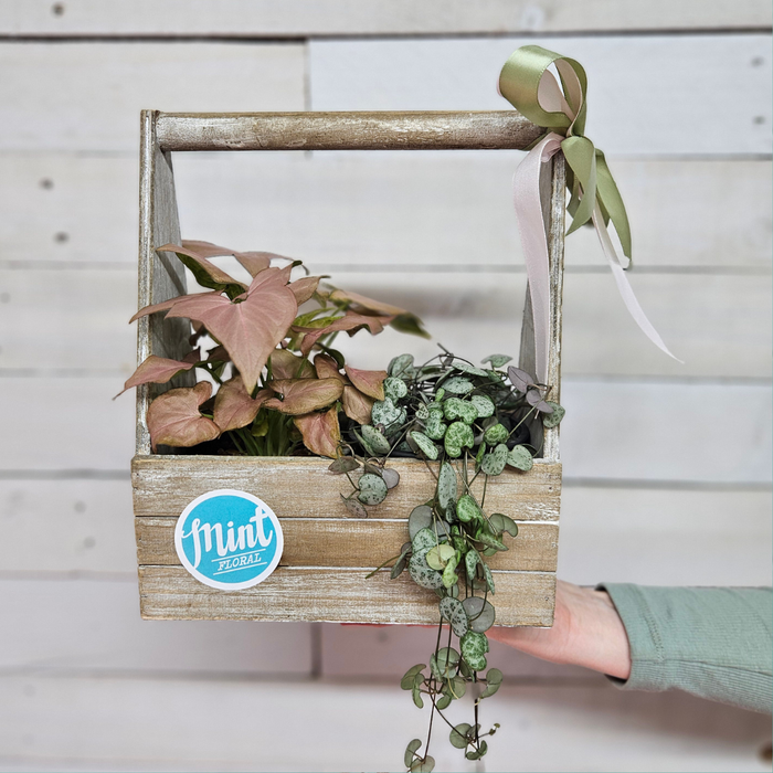 'NORISH & NURTURE' Wooden Handled Planter | MOTHERS DAY 2026