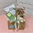'Growing Together' Plant Gift Box | MOTHERS DAY 2026