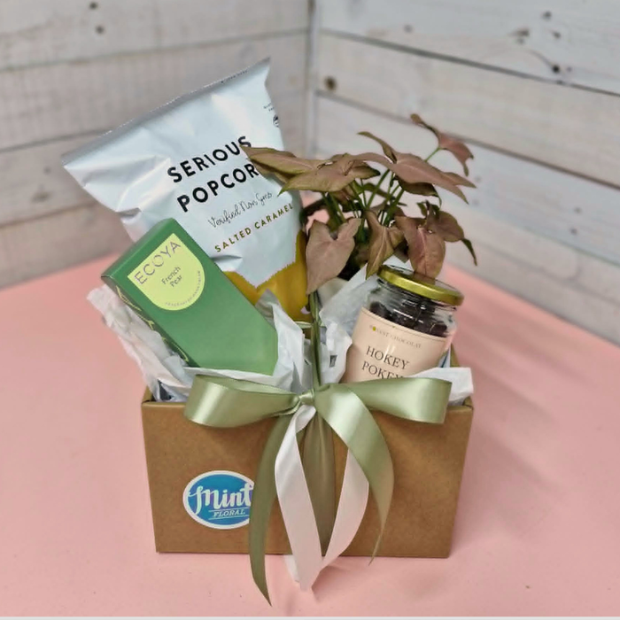 'Growing Together' Plant Gift Box | MOTHERS DAY 2026