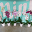 Tropical Orchid Plant - DOUBLE Flowering Stems  (WHANGAREI DELIVERY ONLY)
