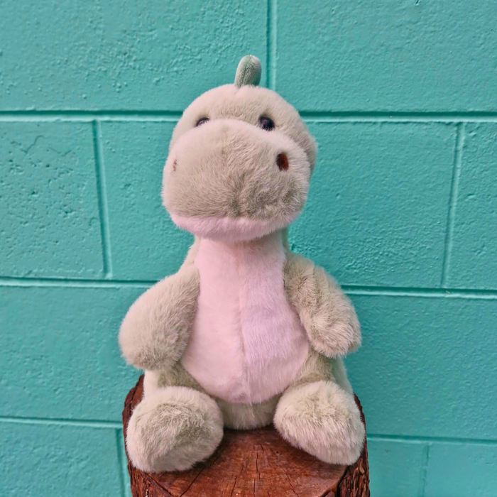 Dinosaur Soft Toy