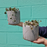 Chain of Hearts in Ceramic Pot