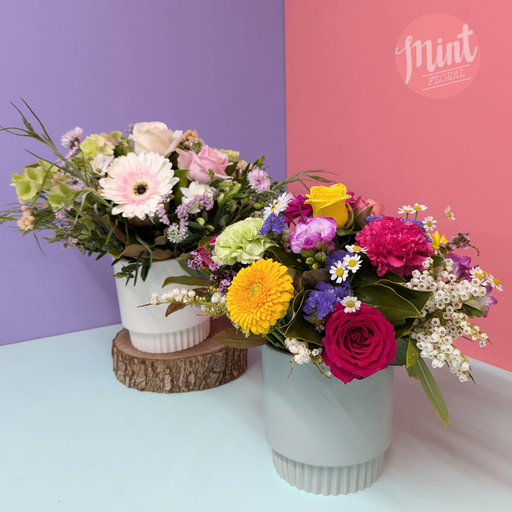 Large Ceramic Pot Arrangement - Limited Edition | NOT AVAILABLE MOTHERS DAY WEEKEND.