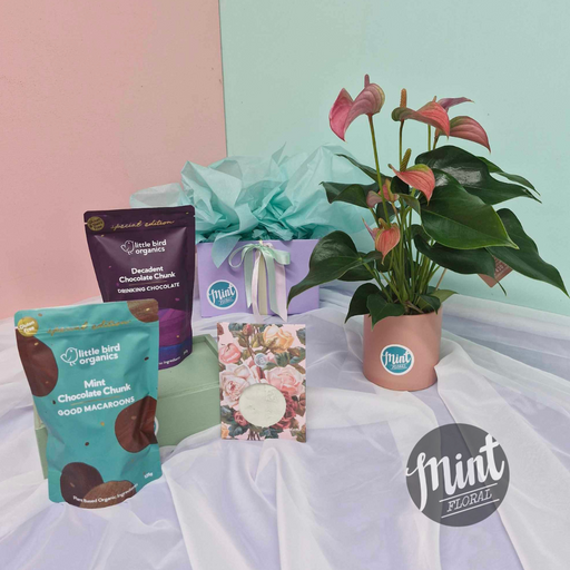 MINT AS MAMA Gift Box | MOTHERS DAY 2024