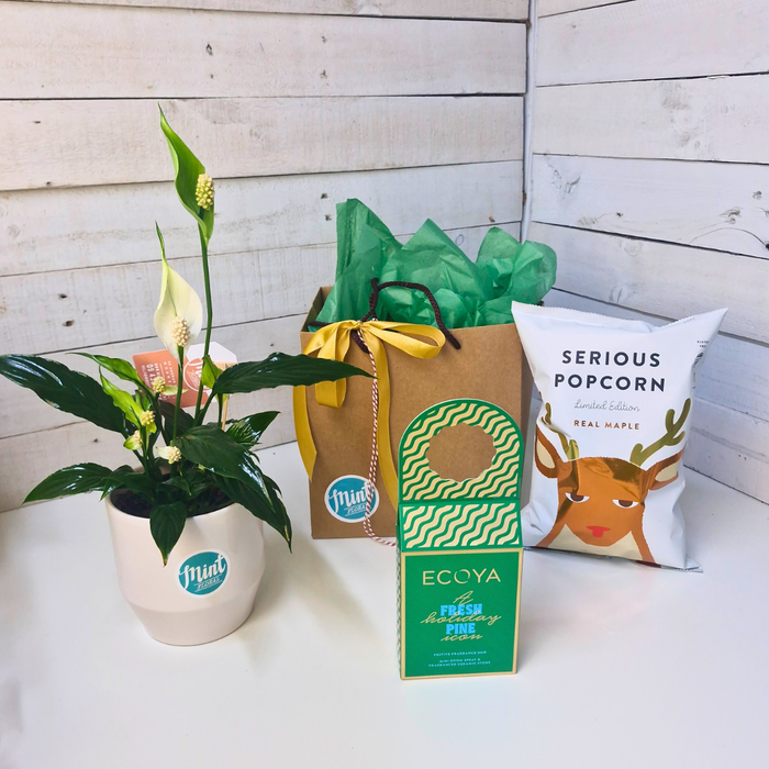 Holiday Collection 2025 | Peace & Pine Gift Bag