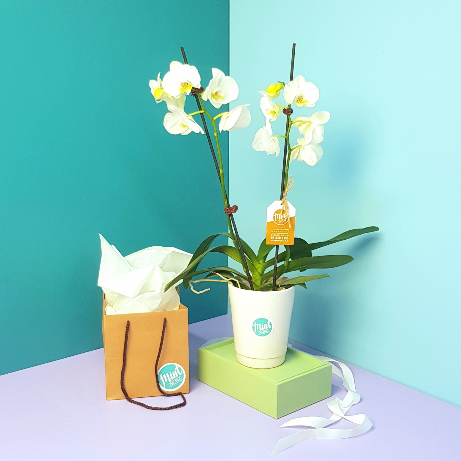 ALL PRODUCTS — Mint Floral NZ