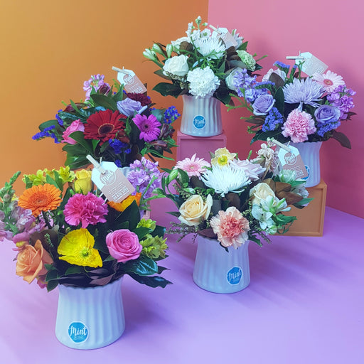 Ceramic Pot Arrangement - Choose Your Colour (NOT AVAILABLE MOTHERS DAY WEEKEND)