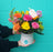 Ceramic Pot Arrangement - Choose Your Colour (NOT AVAILABLE MOTHERS DAY WEEKEND)