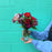 Mini Vase Posy - Choose Your Colour (NOT AVAILABLE MOTHERS DAY WEEKEND)