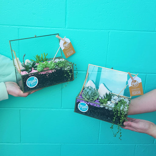 Jewellery Box Terrarium Garden