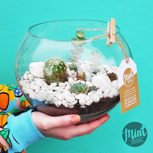 Glass Bubble Terrarium Garden (WHANGAREI DELIVERY ONLY)
