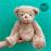 Plush Oatmeal Teddy Bear