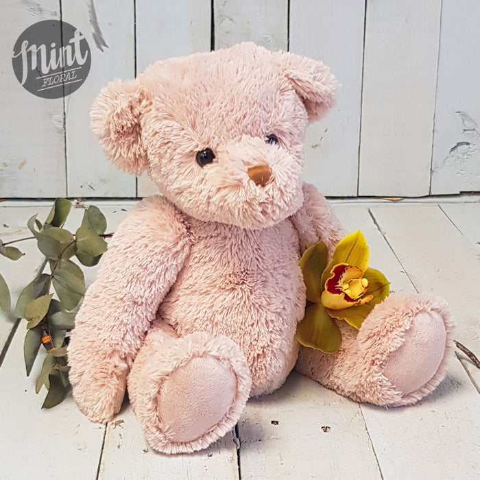 Plush Oatmeal Teddy Bear